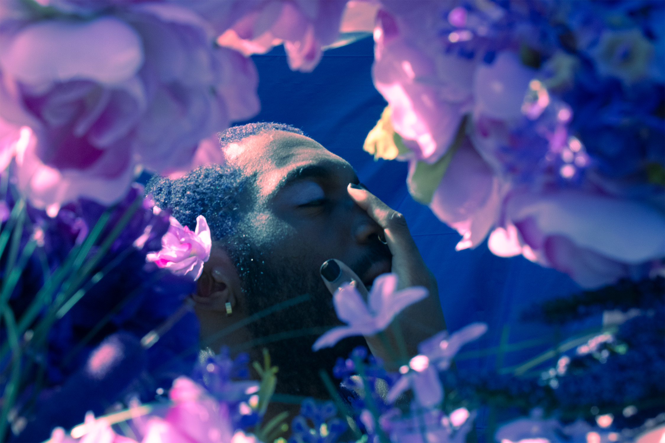 purple and blue artwork