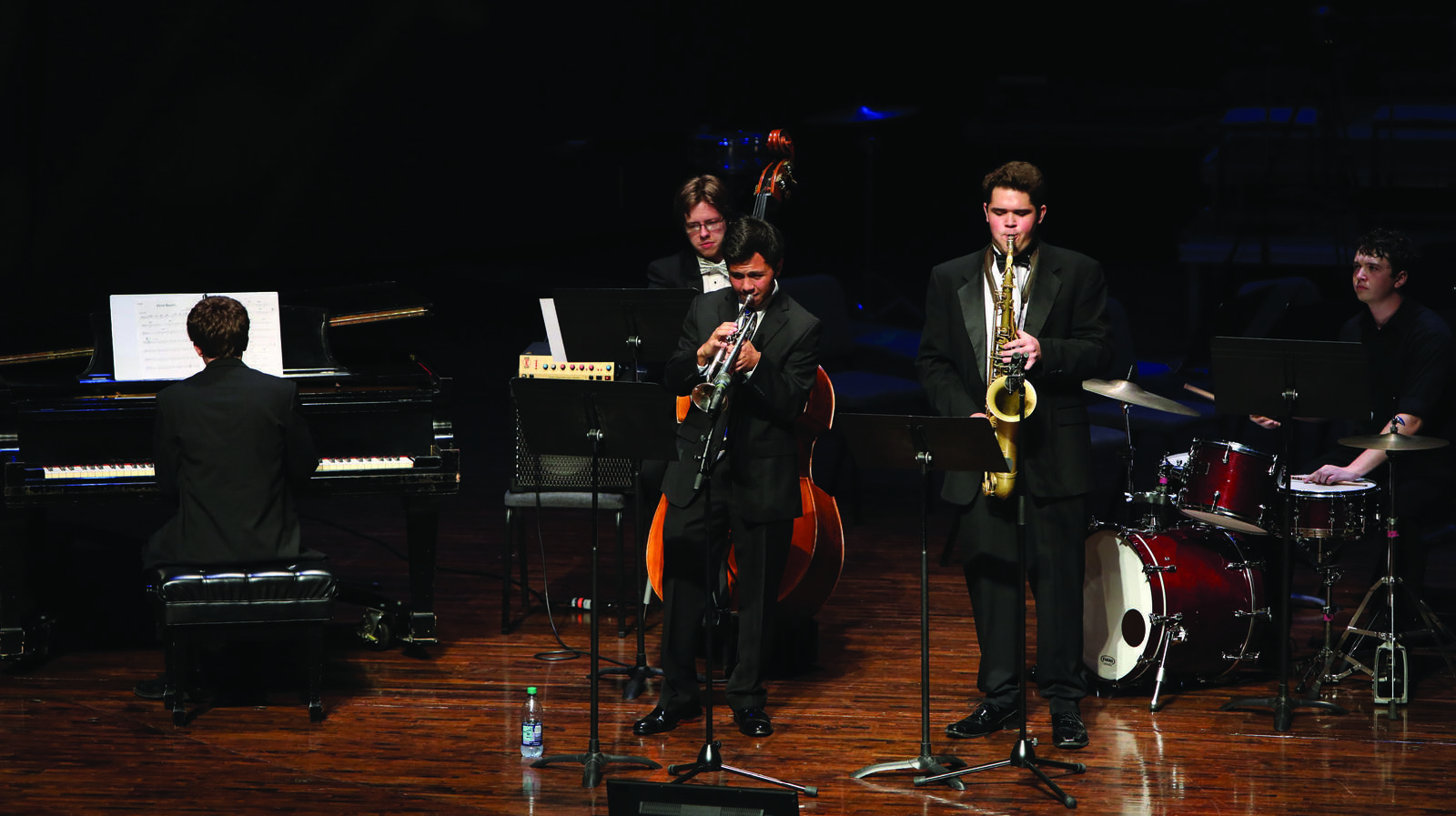Mega-Sax musicians on stage
