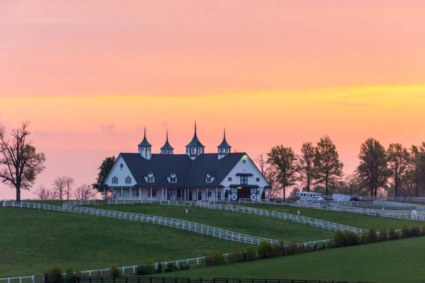 kentucky horse farm