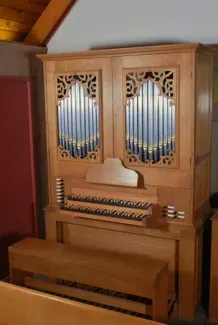 organ