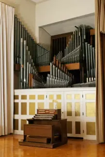 organ