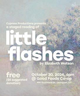 little flashes poster