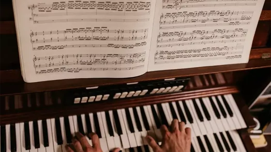 person playing organ