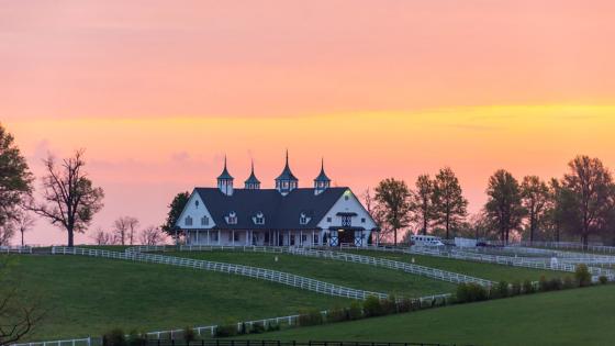 kentucky horse farm